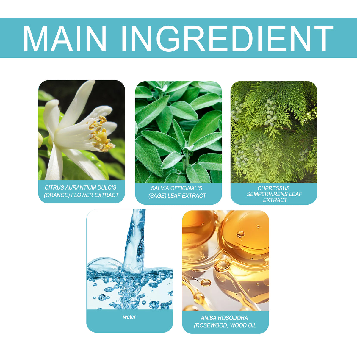 Charm Perfume Release Charm Mild Fresh Light Fragrance Niche Natural Portable Lasting Perfume