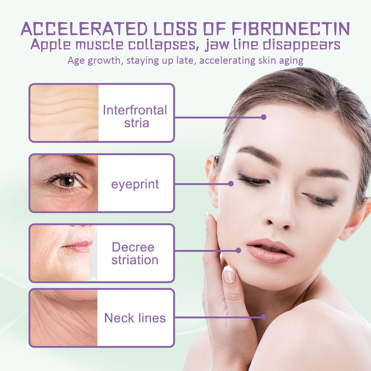 Hoygi Delicate And Smooth Fine Lines Lifting Cream Moisturizes Skin, Reduces Fine Lines, Softens And Improves Elasticity