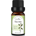 aromatherapy essential oil
