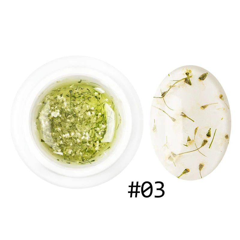 Dried Flowers Gel Nail Polish Soak Off UV LED Transparent Gel Nail Polish Decoration Manicure Nail Art Toolfafa